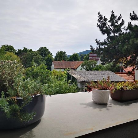 Spacy Apartment Next To The Center Of Graz With Terrasse ภายนอก รูปภาพ