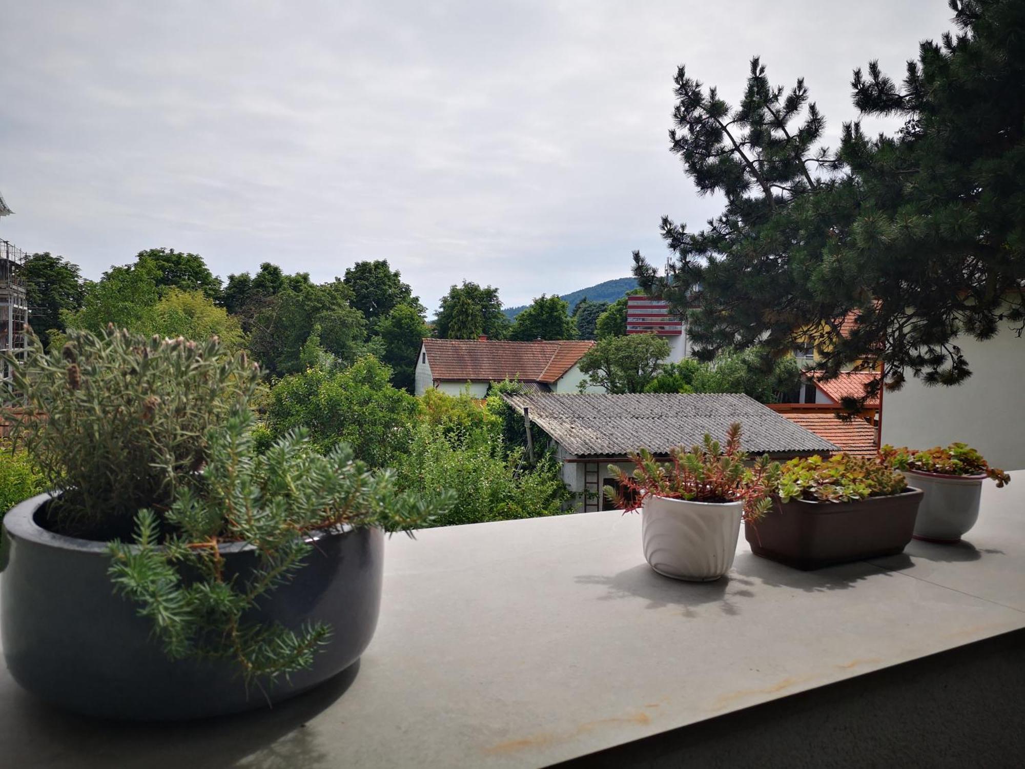Spacy Apartment Next To The Center Of Graz With Terrasse ภายนอก รูปภาพ